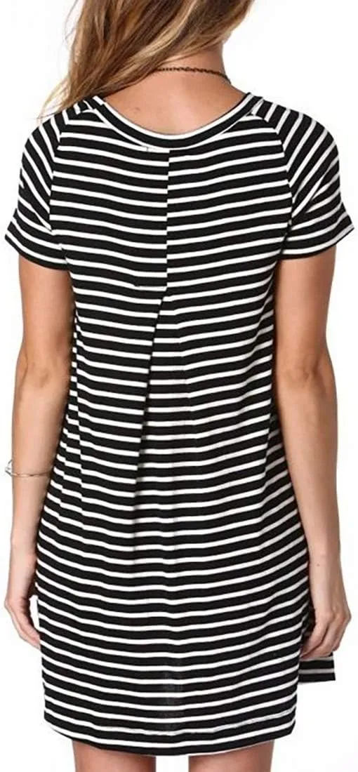 Alaster Womens Casual Summer T Shirt Dress Loose Short Sleeve Tunic Dress with Pocket for Women
