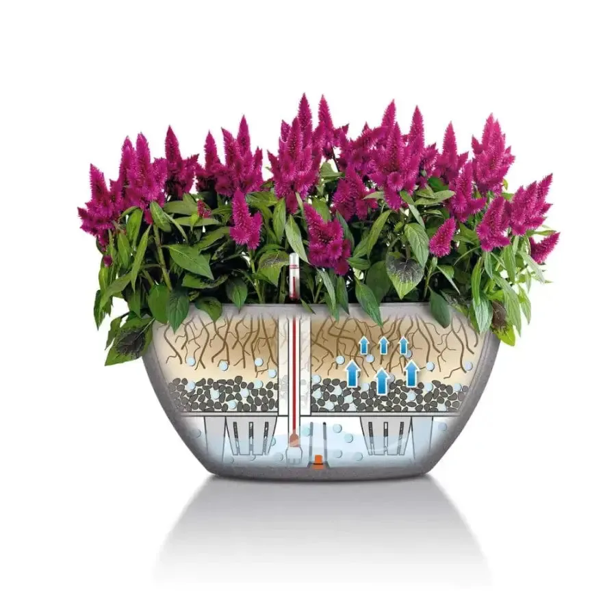 Lechuza CUBETO Stone 30 Bowl