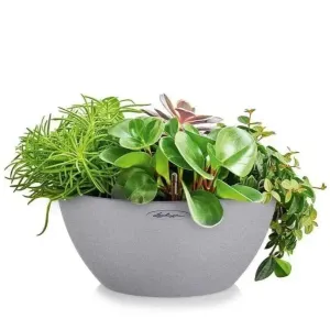 Lechuza CUBETO Stone 30 Bowl