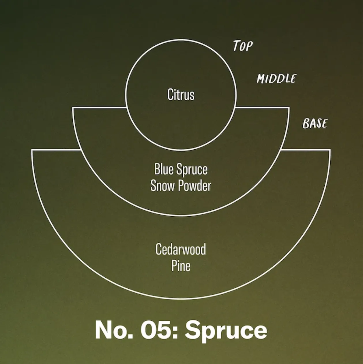 P.F. Candle Co.- Spruce, Standard Candle