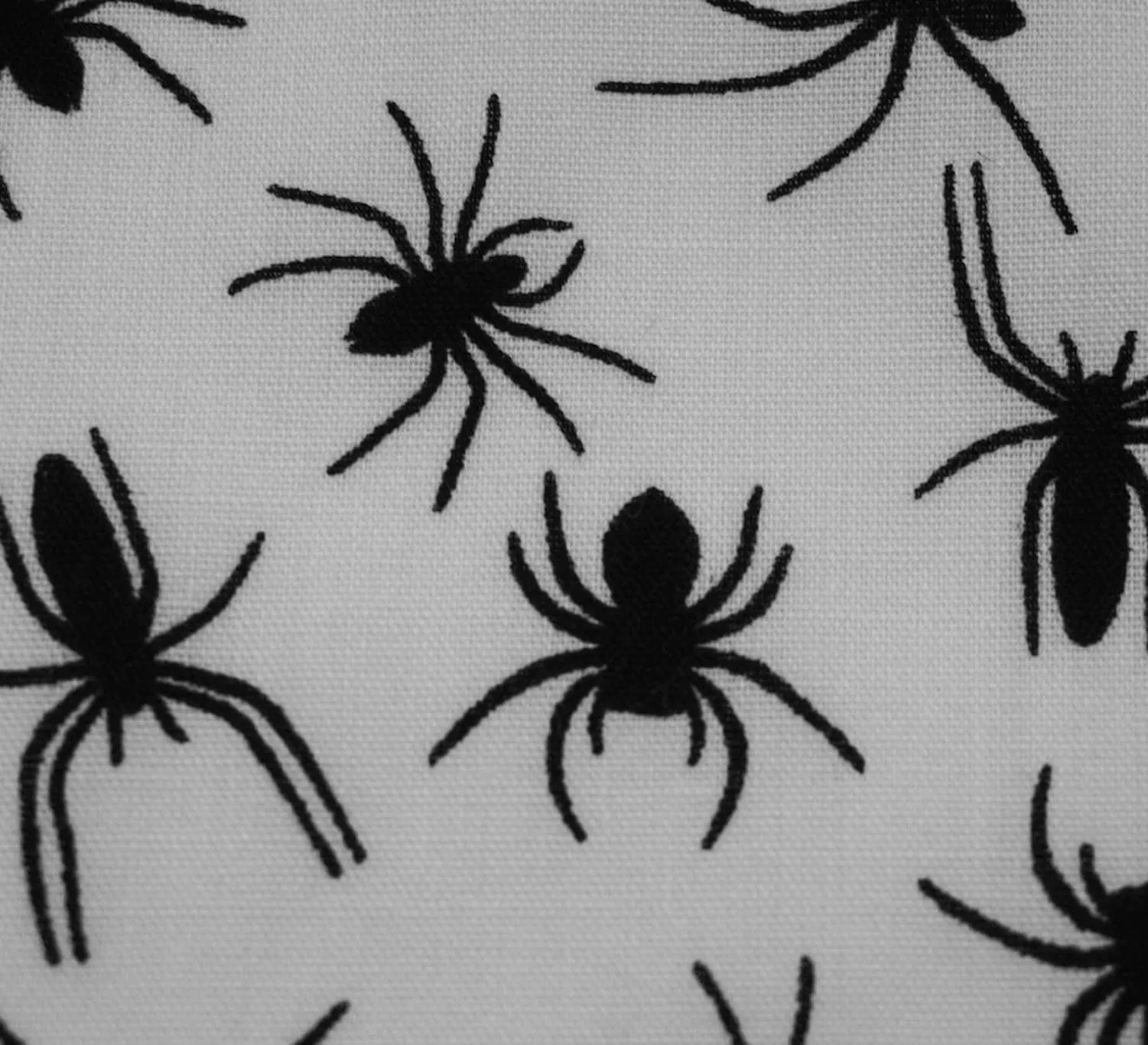 Polycotton Fabric - Incy Wincy Black Spider