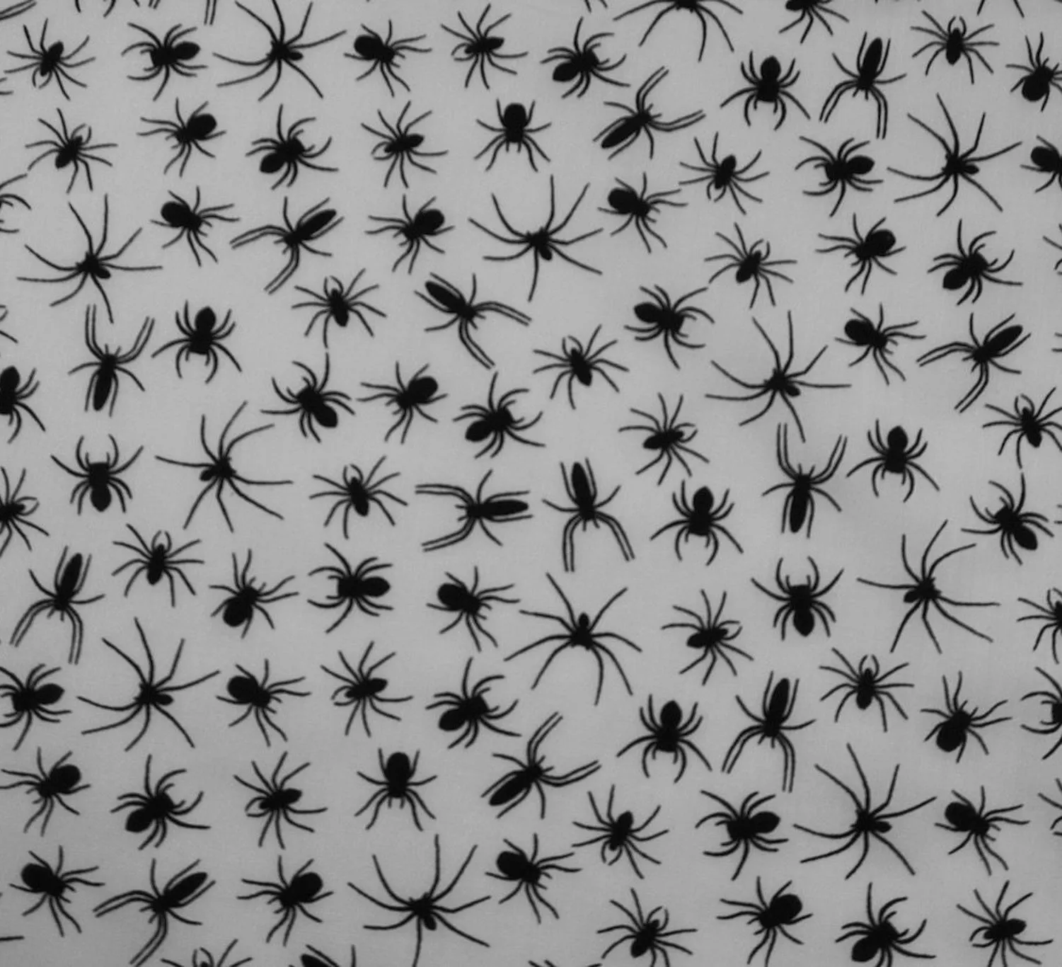 Polycotton Fabric - Incy Wincy Black Spider