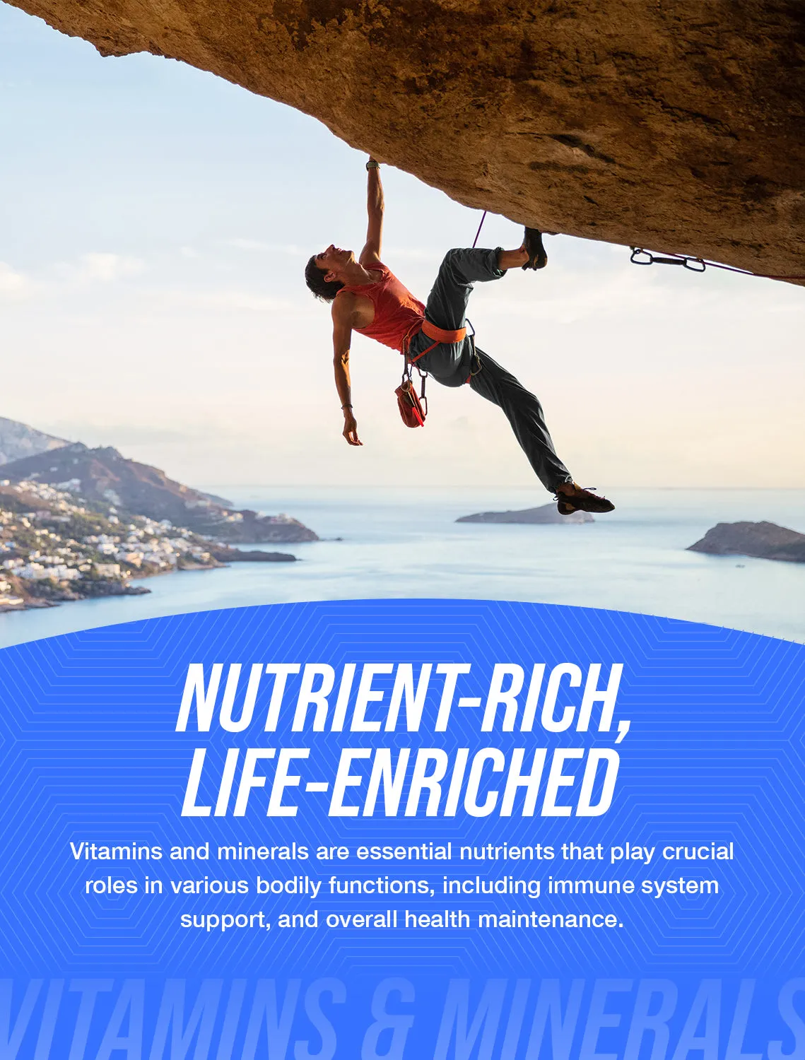 Riboflavin (Vitamin B2) Powder