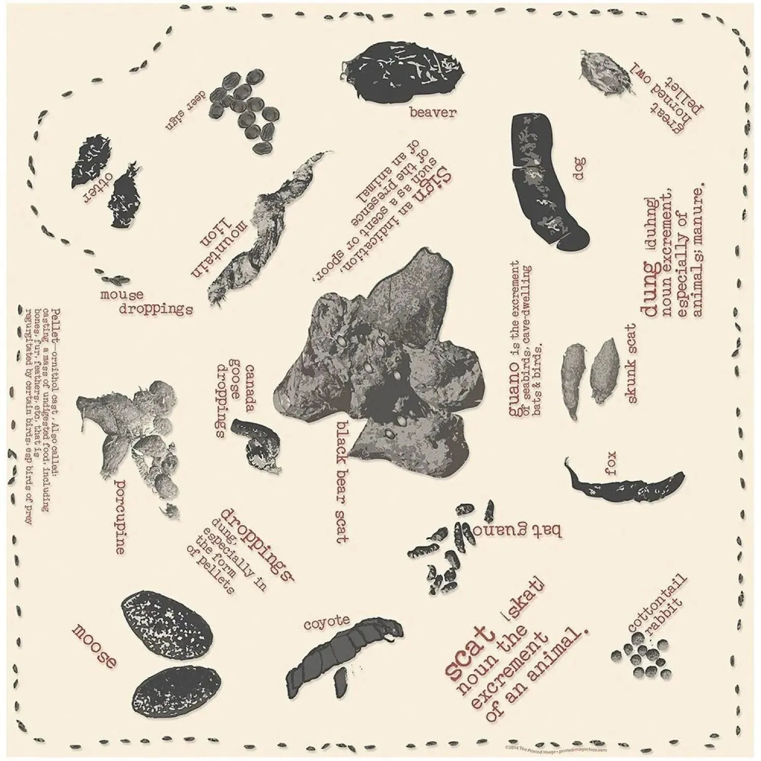 The Printed Image Nature Facts Bandanas
