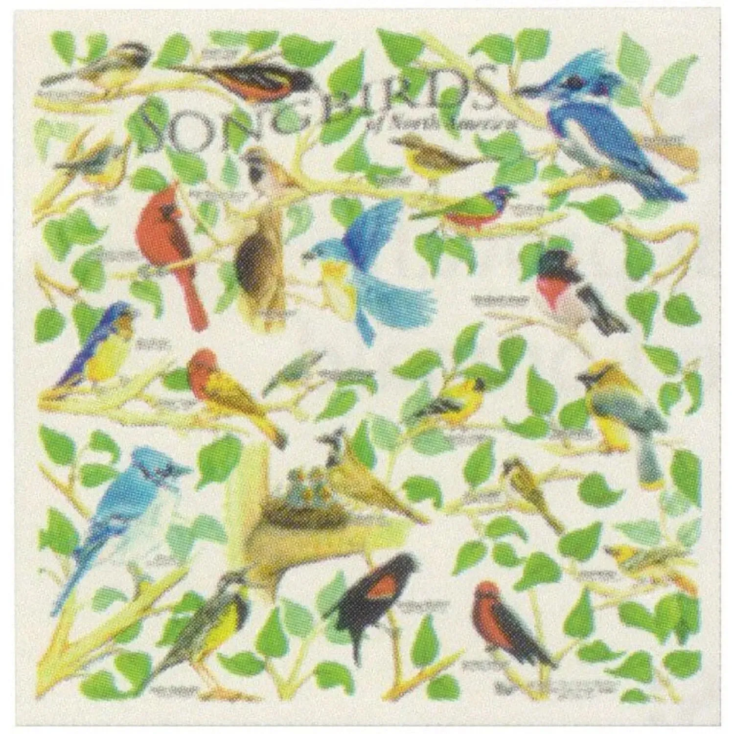 The Printed Image Nature Facts Bandanas